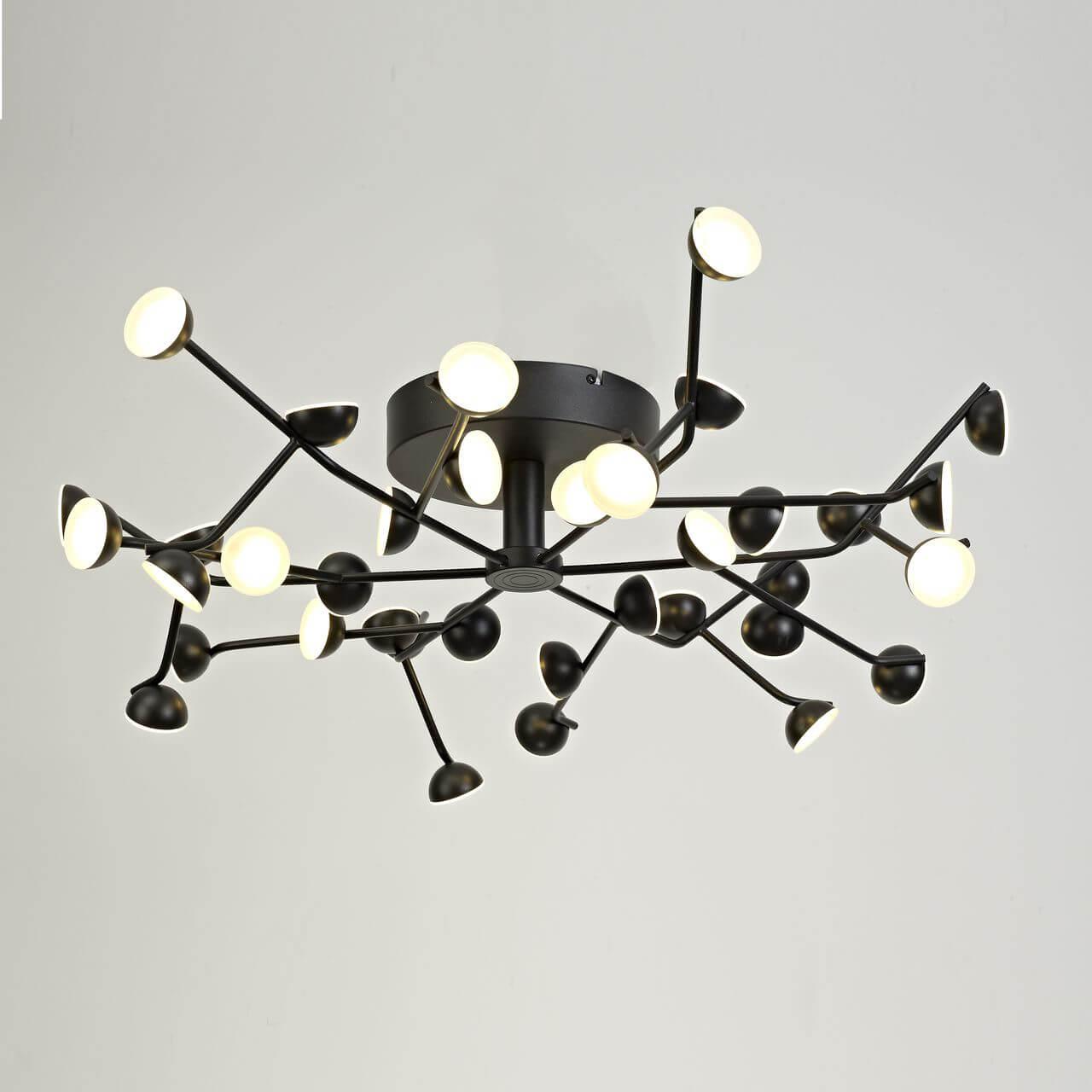 Потолочная светодиодная люстра Mantra Adn 6422 MANTRA BOX LED WHITE 00-3888745 Черный  - Вид №1