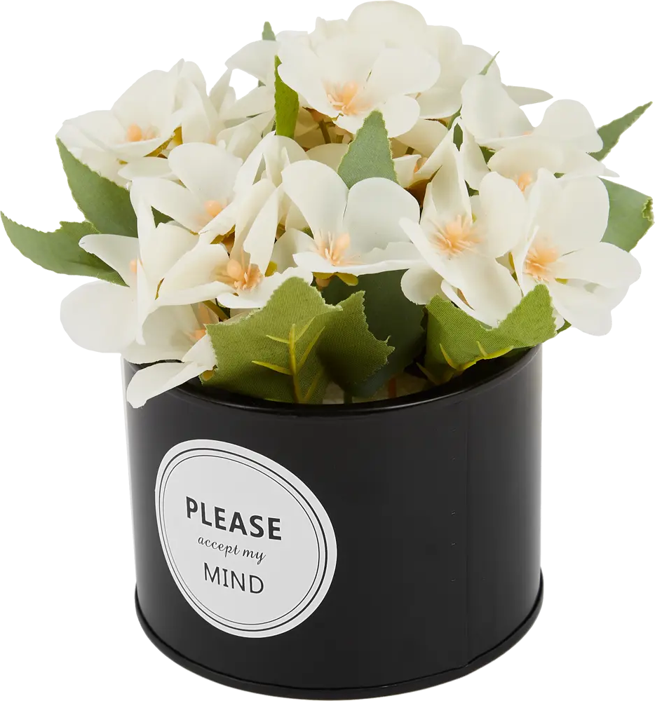 Santreyd Декоративная пеларгония в металлическом кашпо для интерьера 85202251