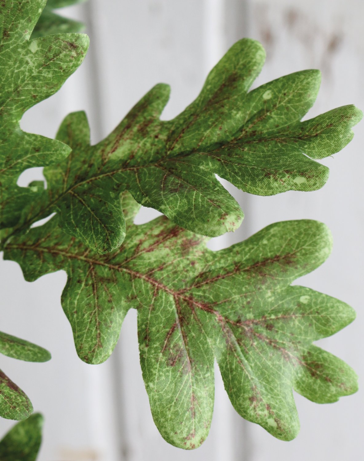 4856 860 a3 Искусственный дуб спрей, 86 см, зелено-коричневый H-andreas  - Вид №1