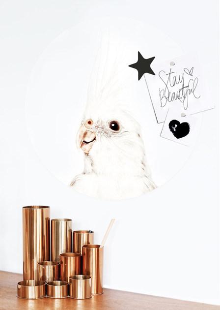 Groovy Magnets Клейкий мотив украшения Animal sun-id-1380895 - Вид №2