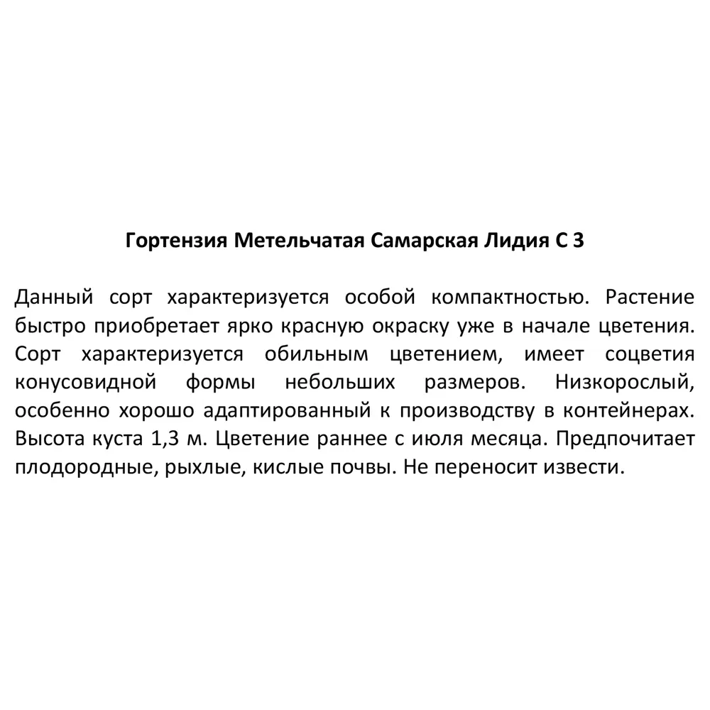 Гортензия метельчатая Самарская Лидия ø18 h60 см 87811856 STLM-2128565 Santreyd  - Вид №3