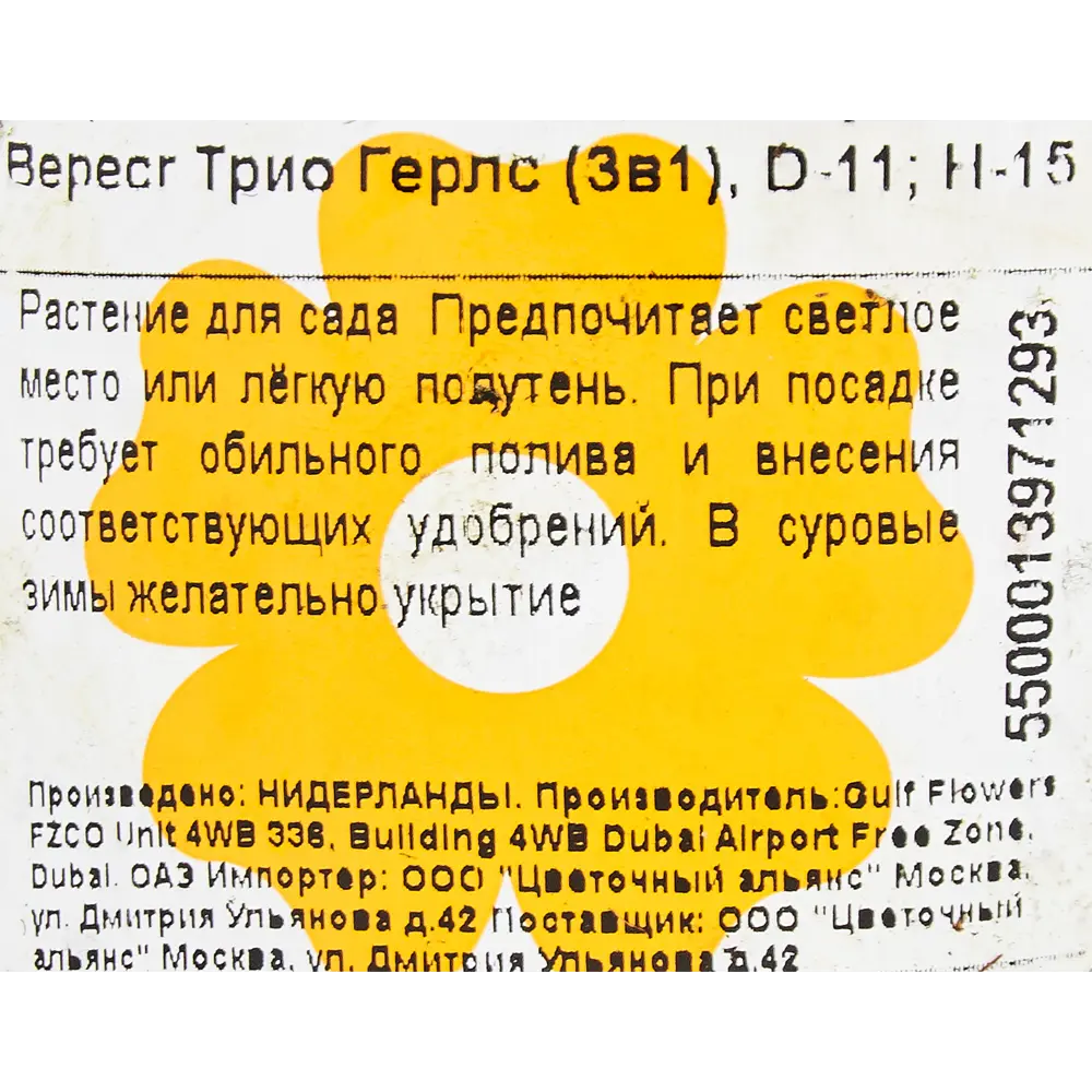 Вереск Трио Герлс 3-в-1 11x15 см 82733762 STLM-2037520 Santreyd  - Вид №1