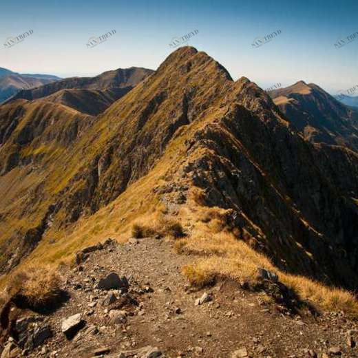 WP01900 Фотообои Verol Фотообои decoline 1х1 м