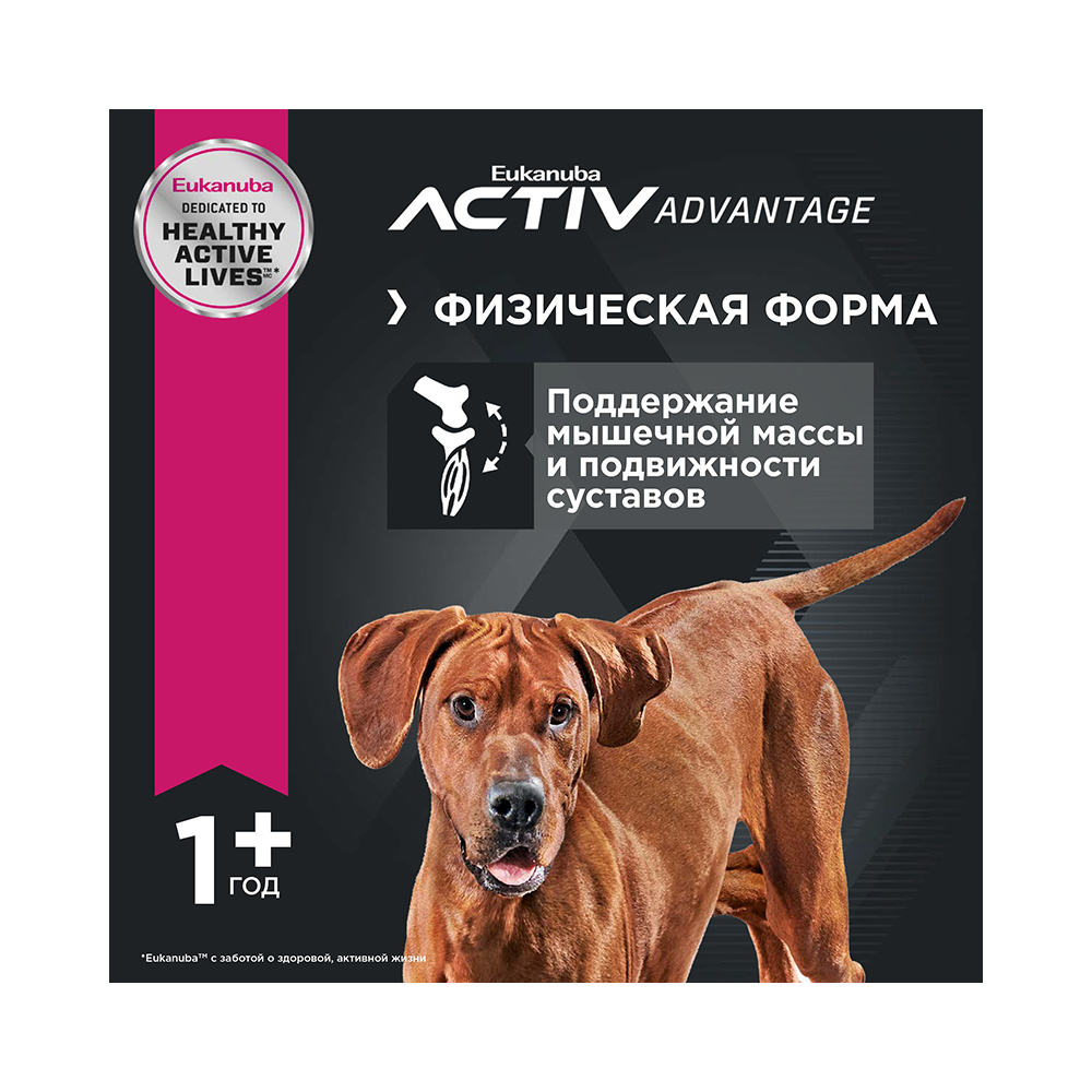ПР0033063 Корм для собак для крупных пород сух. 3кг Eukanuba  - Вид №6