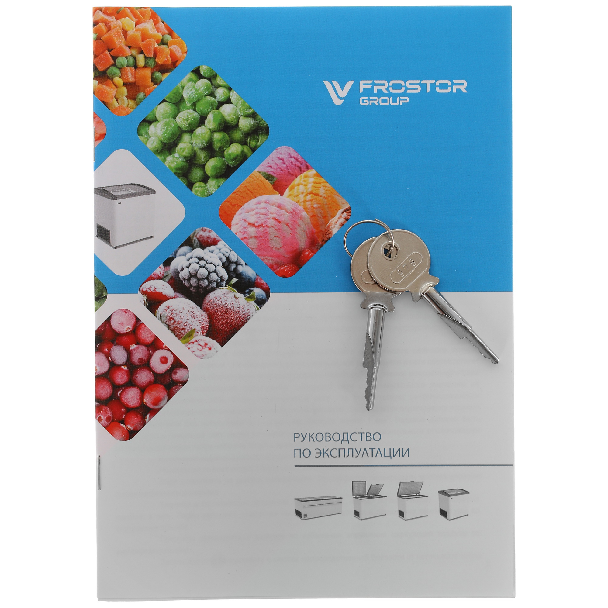 1229595 Морозильный ларь Frostor Gellar FG 500 E белый, красный STDN-0019551 - Вид №7