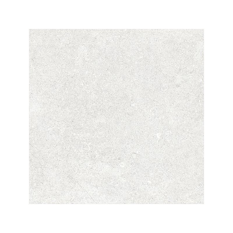 K94645600001VTE0  Vitraglobal Newcon 