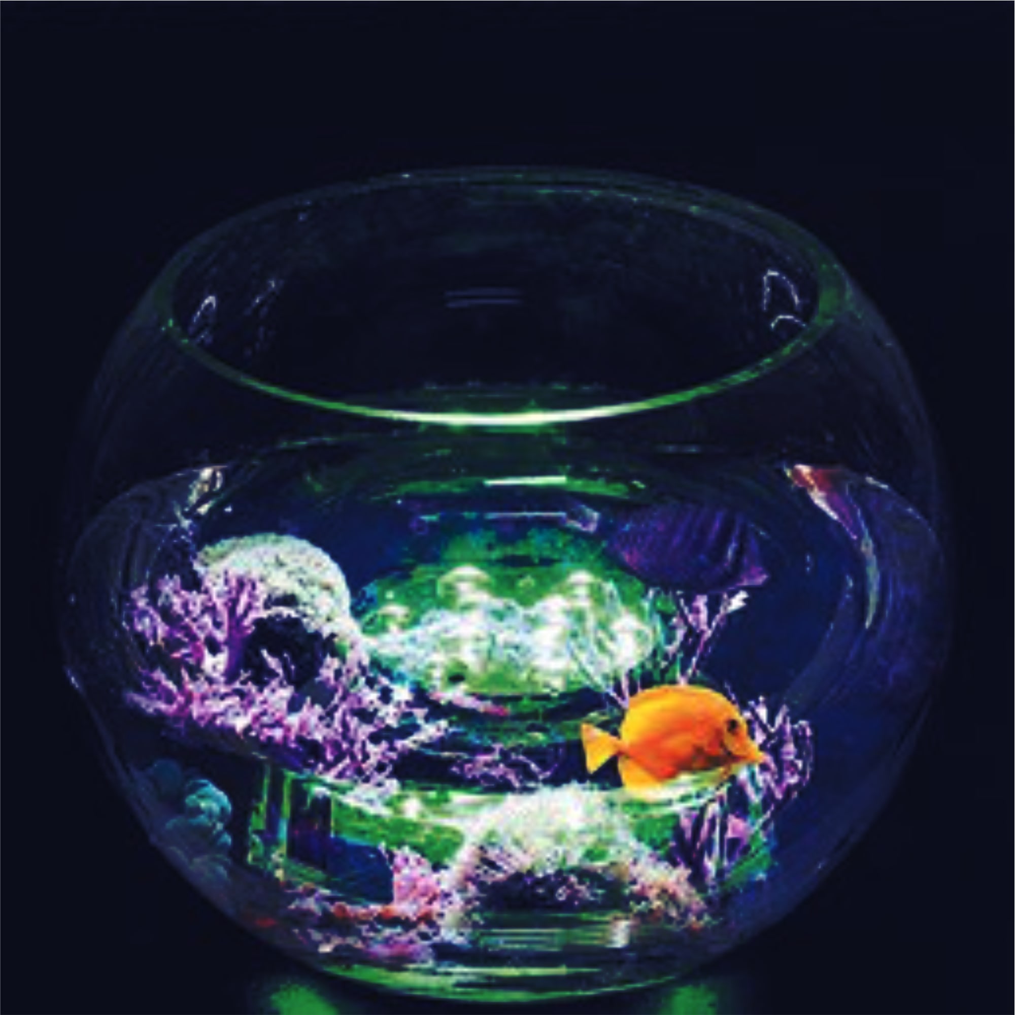 82535309 Светильник светодиодный для водоемов 70×28 мм Santreyd  - Вид №2