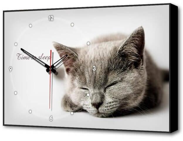 TL-C5022 Настенные часы Серая кошка Timebox 37х60х4см Toplight