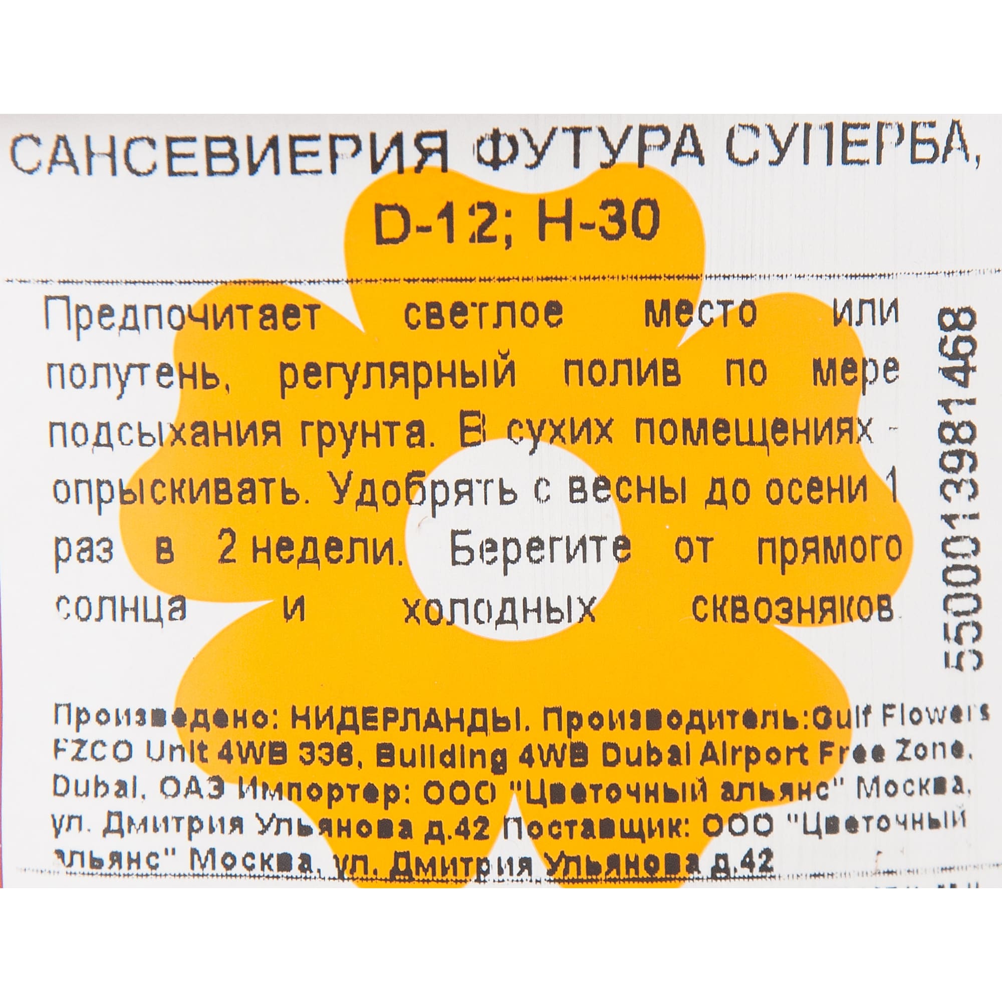 82850384 Сансевиерия "Футура Суперба" 12х30 см Santreyd  - Вид №2