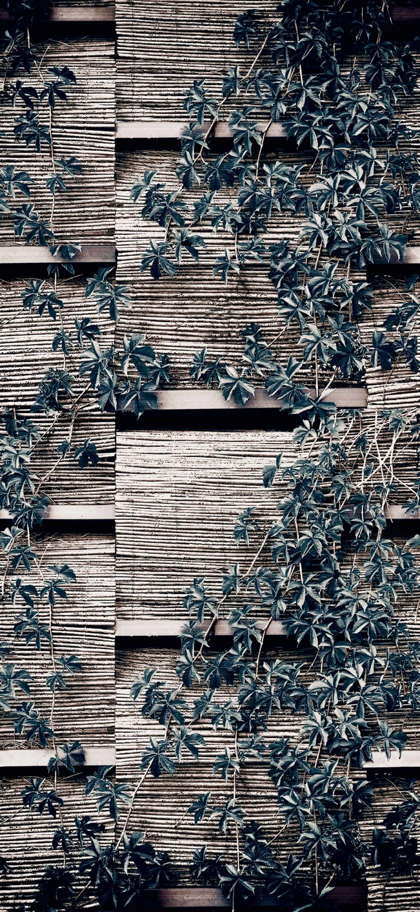 Wall&decò Обои для ванной Wet system 20 Wet_vp2001 / wet_vp2002 - Вид №2