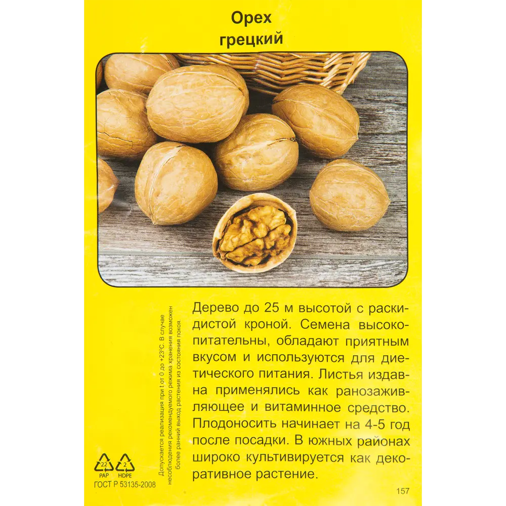 Орех грецкий Региа h40 см 83791421 STLM-2200947 Santreyd  - Вид №1