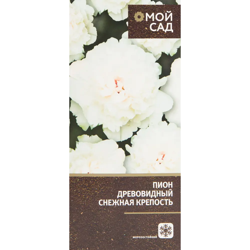 Пион древовидный привитый Снежная крепость в тубе 82539492 STLM-2017291 ВСЕ В САД 