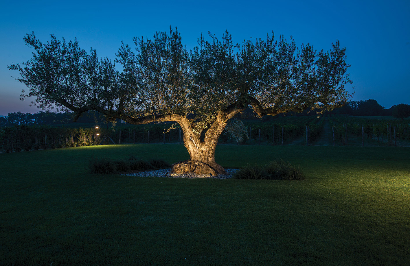 9405068 Проектор Platek NANO Proiettore  NANO Floodlight - 1 LED 4000K 33°  - Вид №8