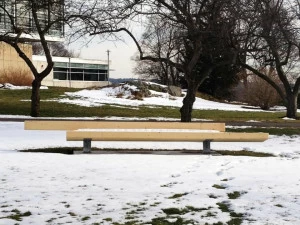 URBIDERMIS Скамья из клееного дерева со спинкой