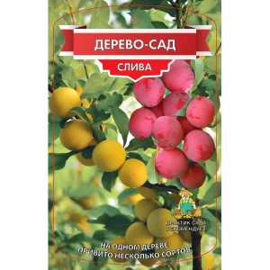Дерево-сад Слива двухлетняя 3 сорта ø20 h200 см 84550000 STLM-2105303
