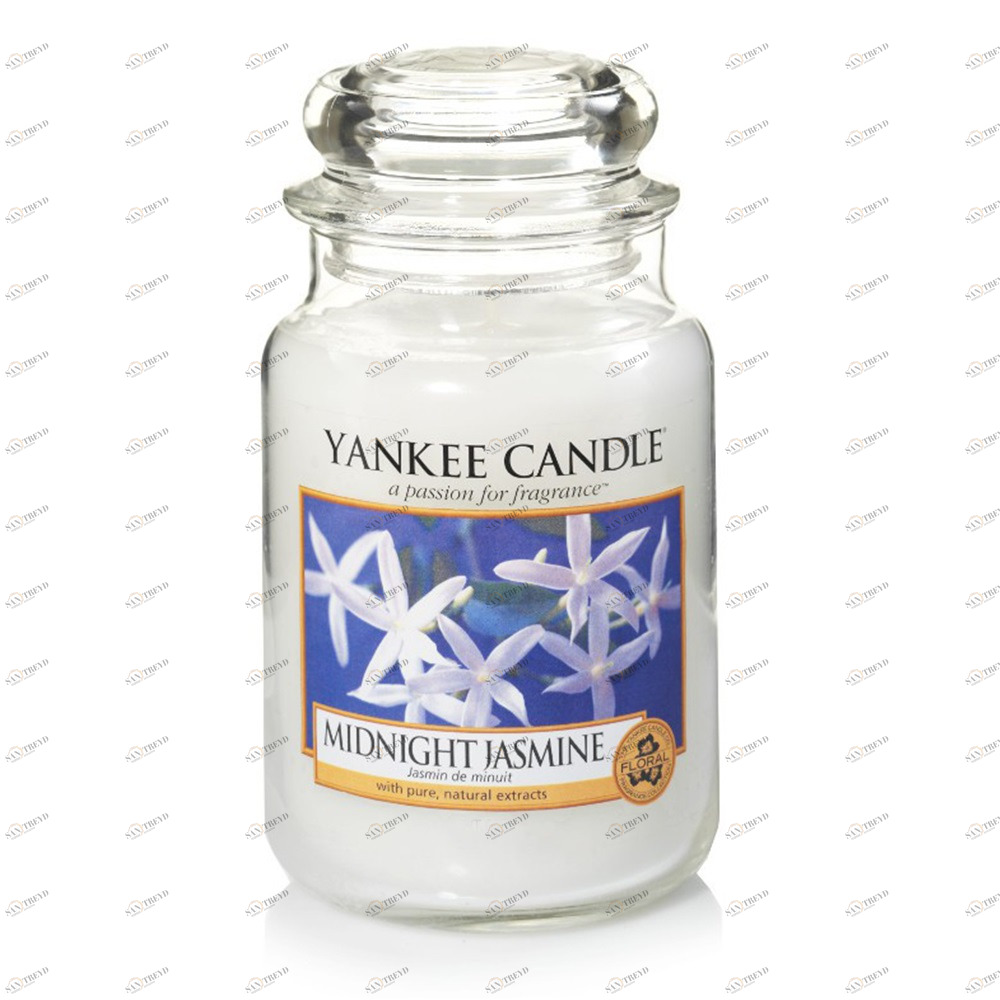 Свеча большая в стеклянной банке Ночной жасмин Midnight Jasmine 623 гр / 110-150 часов YANKEE CANDLE  267846 Белый 