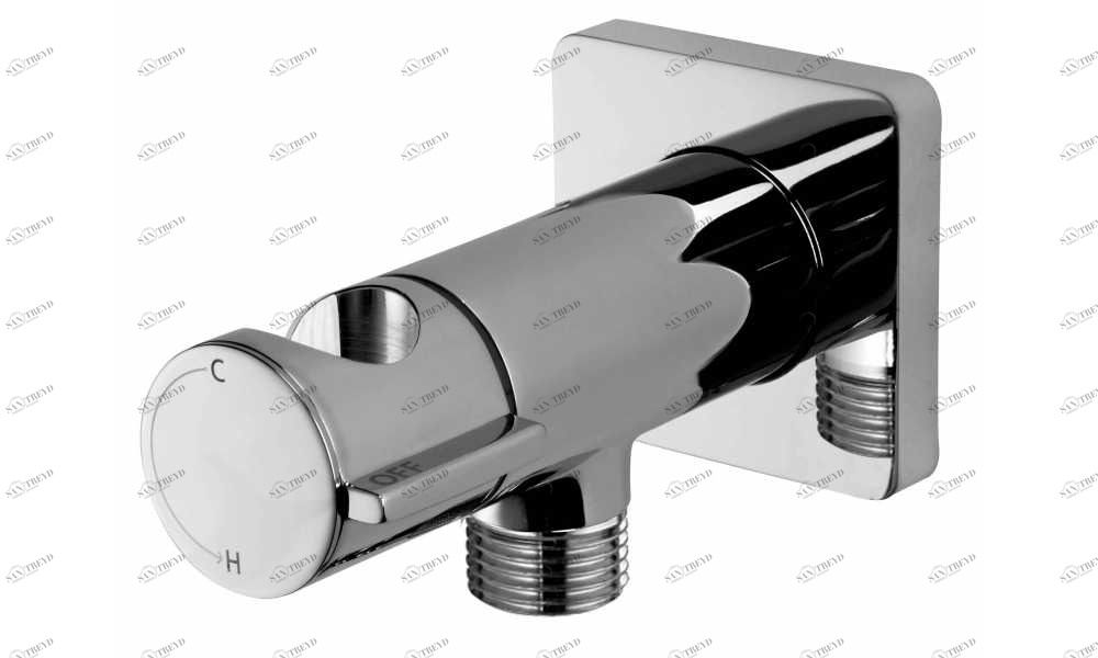 E42000 Гигиеническая лейка  BOSSINI 