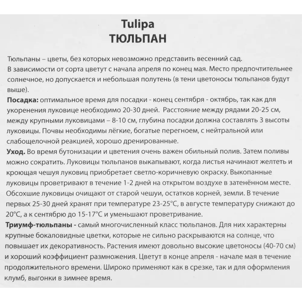 Тюльпан Триумф Ремз фейворит луковица 12/14, 5 шт. 88294825 STLM-2190878 Santreyd  - Вид №2