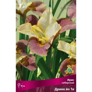 Ирис сибирский Дринк Йо Ти луковица I 83597277 STLM-2139928