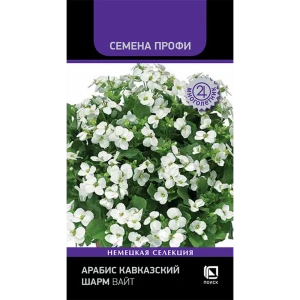 Арабис кавказский Сноутопия ПОИСК - белоснежный ковер для сада 89401277