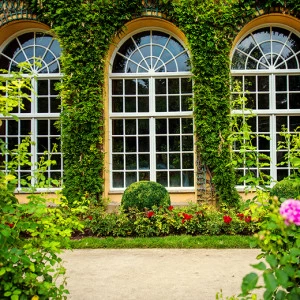 B1-061 Фотообои DIVINO Collection B 2.38х3 м