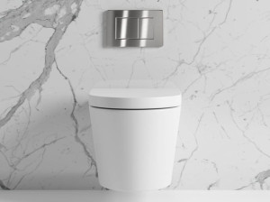 Керамический подвесной туалет с пластиной и сливной кассетой