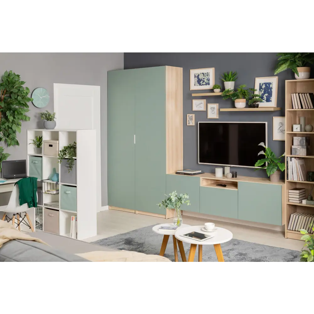 Santreyd Дверь для шкафа Лион София грин - элегантное решение для систем хранения 84130457 STLM-0046577 - Вид №4