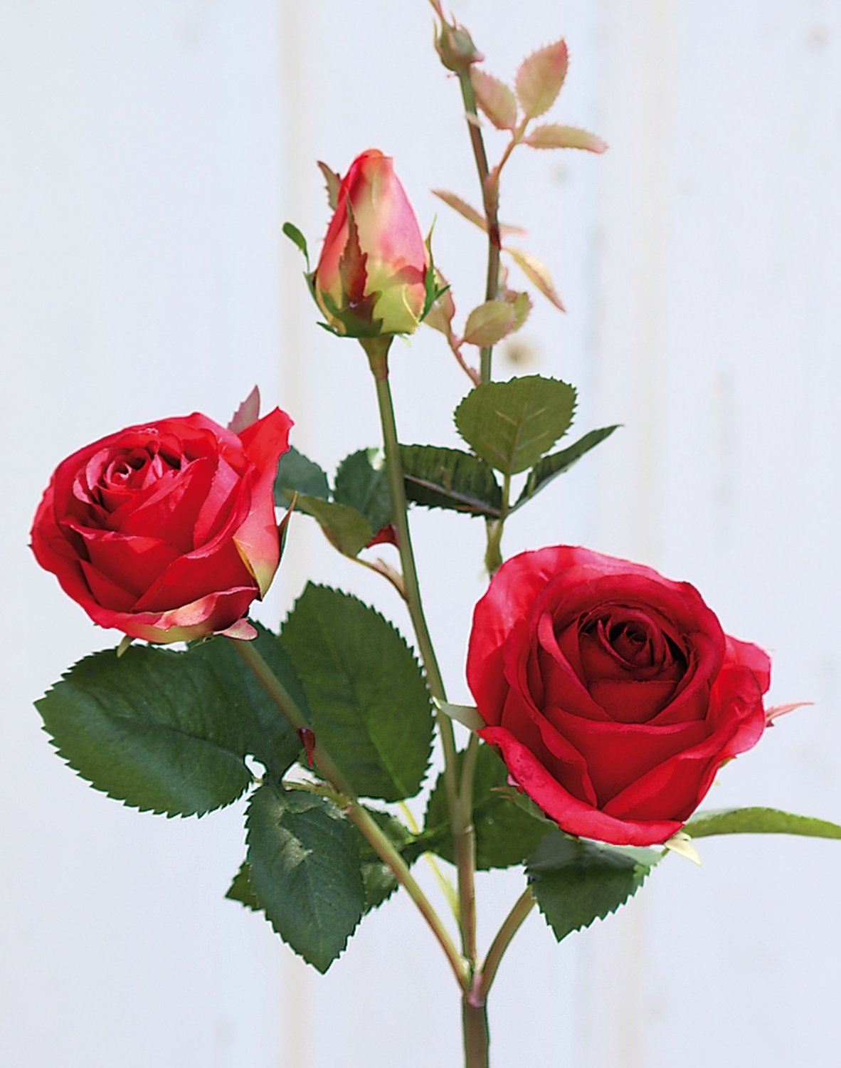 2590 444 a3 Искусственная роза, 2 цветка, 1 бутон, 57 см, красная H-andreas  - Вид №1