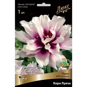 Пион ито-гибрид «Кора Луиза» разбор 2-3 82661870 STLM-2086821