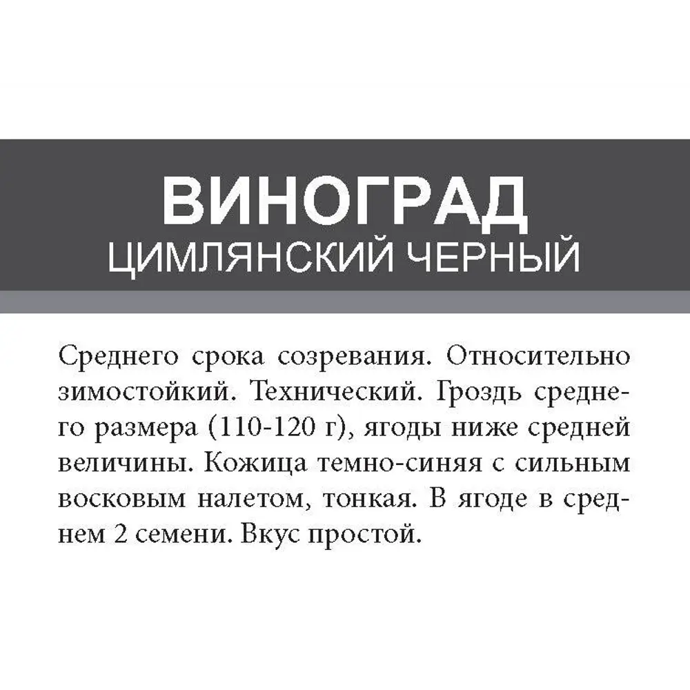 Виноград Цимлянский черный ø15 h50 см 85670465 STLM-2015177 Santreyd  - Вид №1