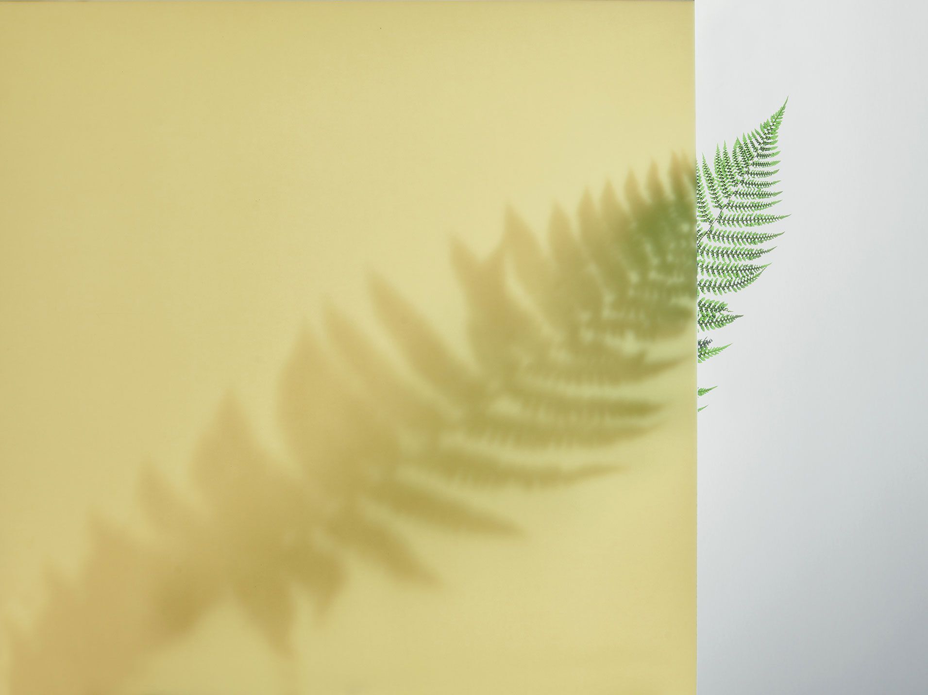 Трехмерное украшение полупрозрачный ламинат Abet Laminati DIAFOS ARCH-00073462