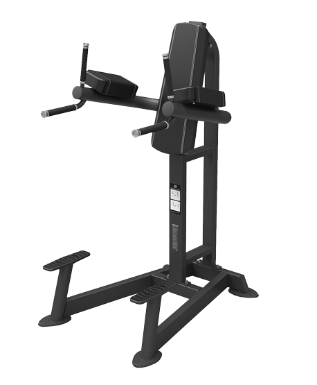 SP-4215 Spirit fitness sp-4215 пресс/брусья/турник Spirit Fitness 