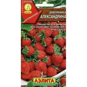 Земляника «Александрина» 13881775 STLM-2171145