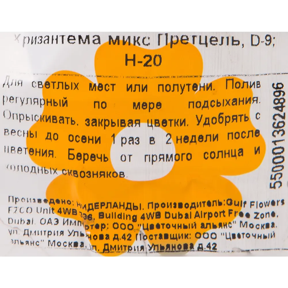Хризантема Претцель микс 9x20 см 82725639 STLM-2201371 Santreyd  - Вид №2