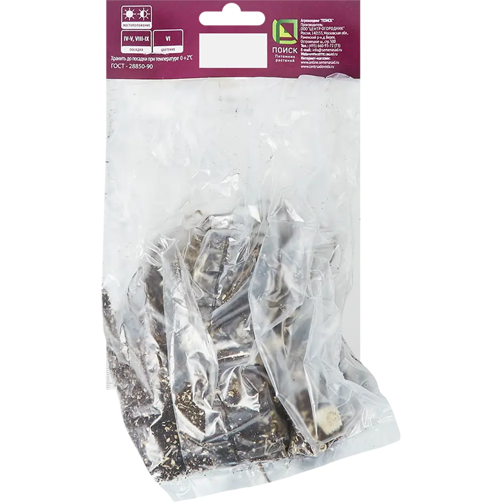 Ирис бородатый Блэк Вотч - корневище фиолетового ириса 86410653 ПОИСК STLM-1573493 - Вид №1