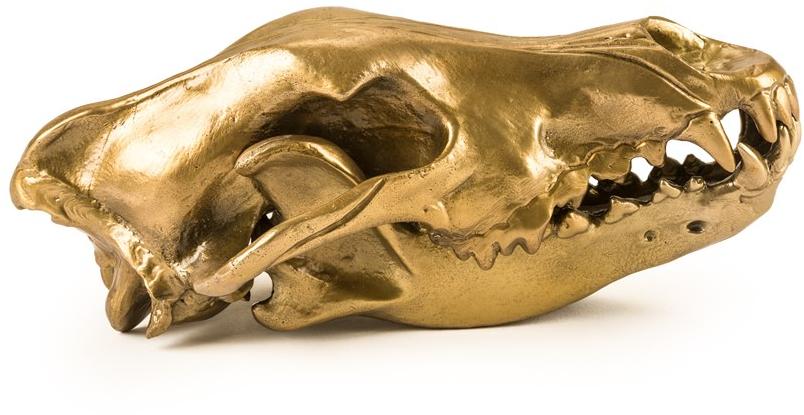 Seletti Алюминиевый декоративный предмет Wunderkammer sun-id-1419385 - Вид №11