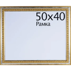 Рамка Charlotta 40x50 см пластик цвет золото 11911723 STLM-2160984