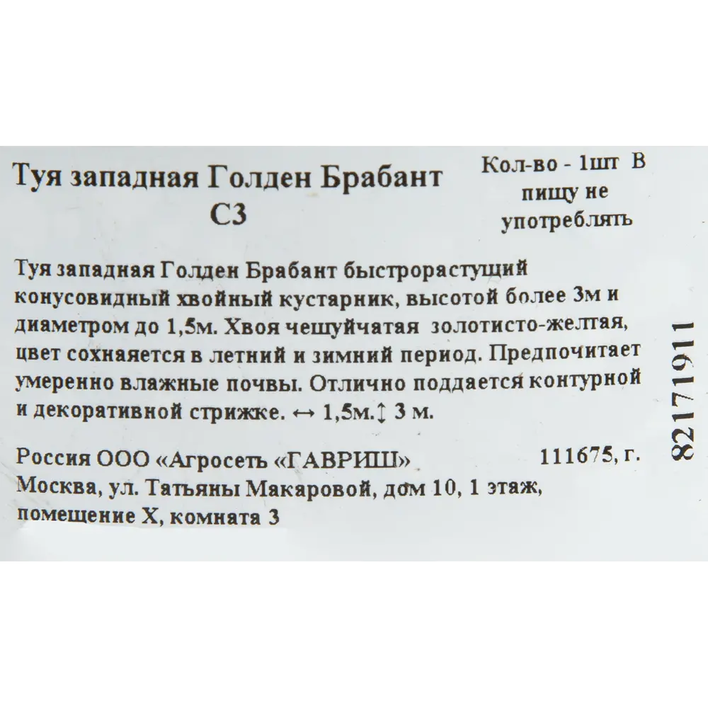 Туя западная «Голден Брабант» C3 ГАВРИШ STLM-2107664 - Вид №1