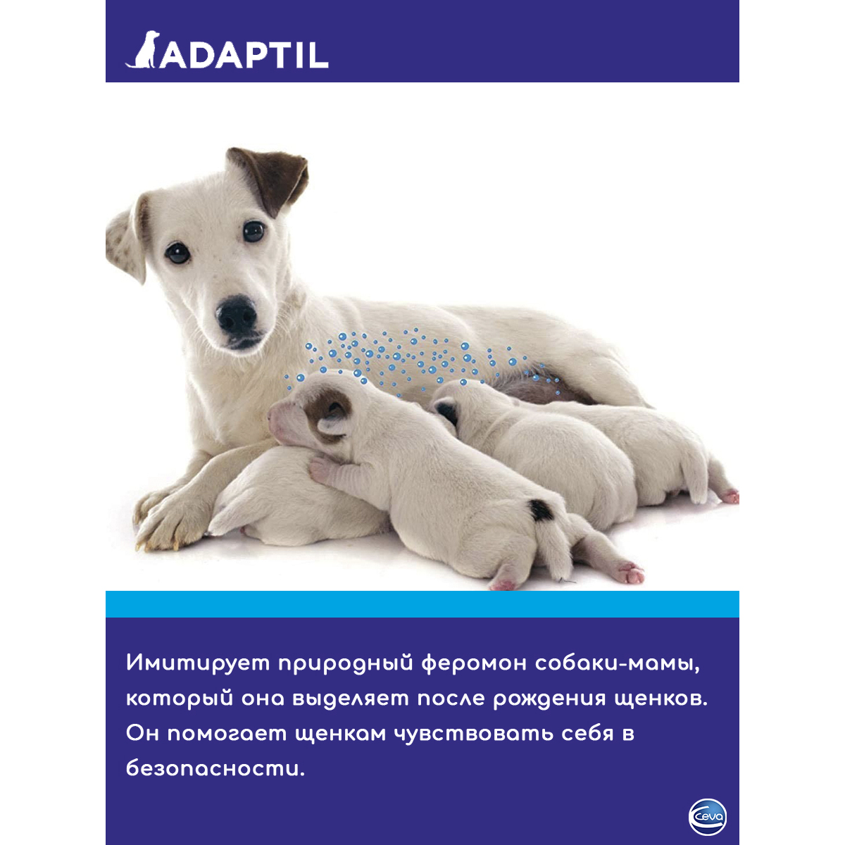 ПР0049916 Ошейник для щенков Adaptil Junior для коррекции поведения 37,5см CEVA  - Вид №2