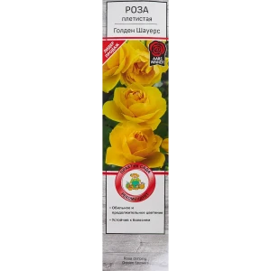 Розы плетистые «Голден Шауерс» 18350279 STLM-2180614