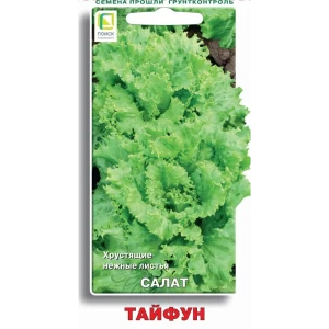 Семена салата Тайфун ПОИСК - для свежего урожая 89401149