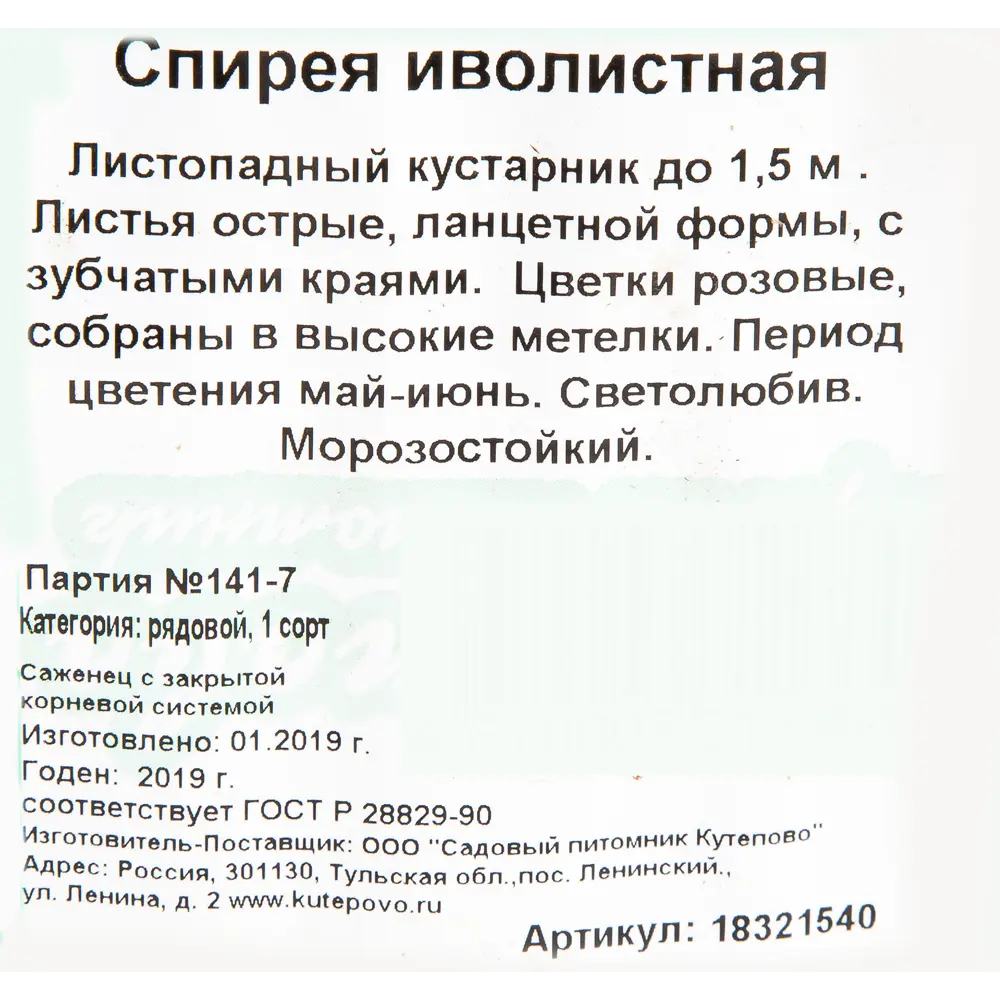Спирея иволистная С2, 40 см 18321540 STLM-2078924 Santreyd  - Вид №1