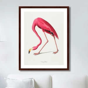Картина в раме 78,5х100 см "Американский фламинго , 1822г." КАРТИНЫ В КВАРТИРУ  264194 Розовый
