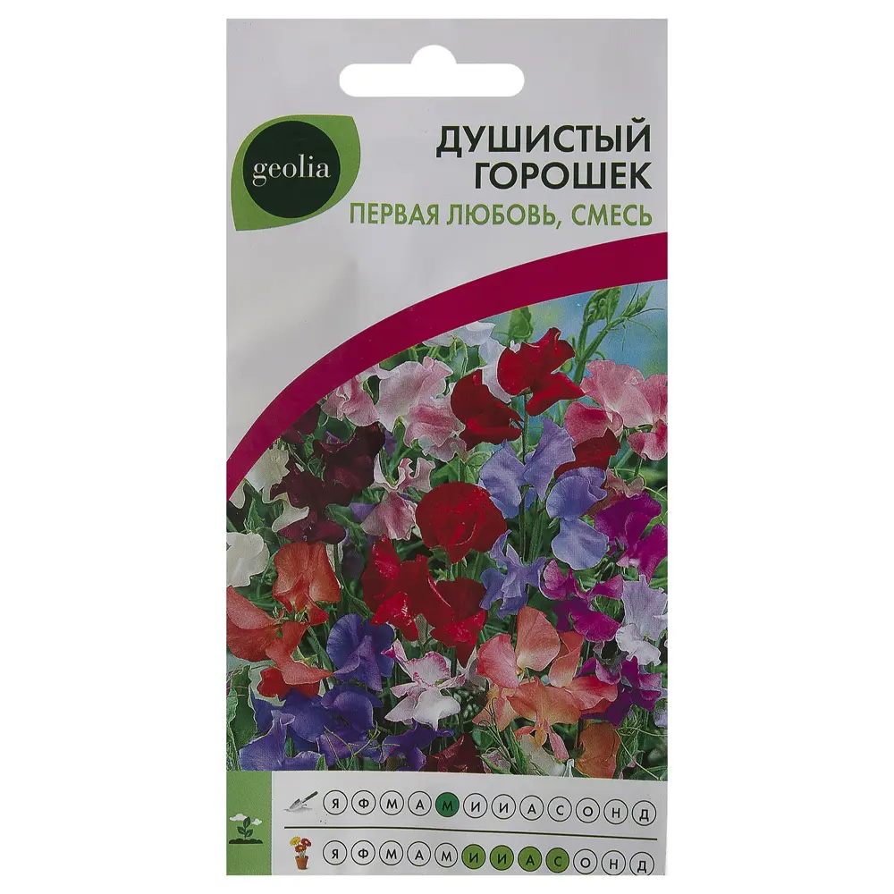 GEOLIA Душистый горошек Первая любовь - вьющееся украшение сада 17585623 STLM-0008395