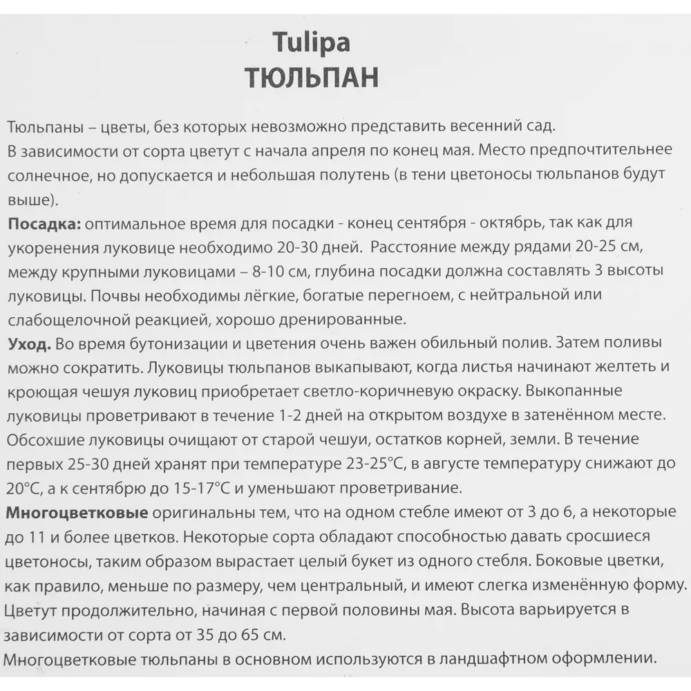 Тюльпан многоцветковый Аутбрейк, 10 шт 85205556 STLM-2143101 ПОИСК  - Вид №2