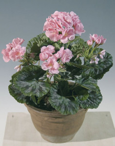 3192 510 a2 Искусственный куст герани, 4 головки, 30см, розовые H-andreas