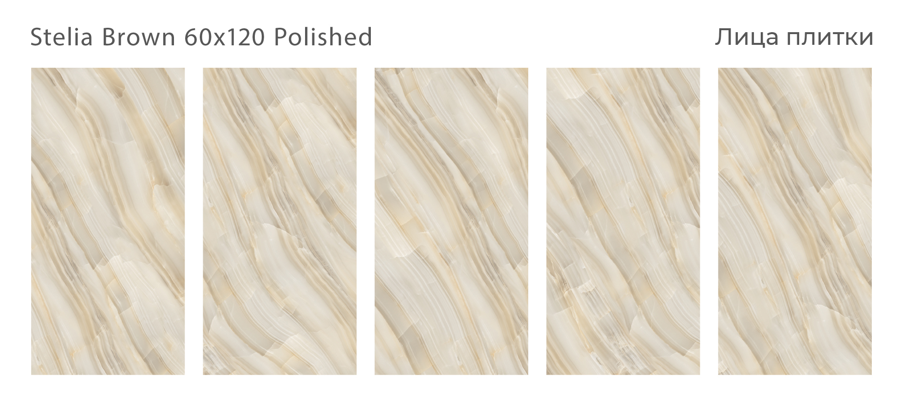 Роскошь мрамора в вашем доме: керамогранит Palacio STP-ST498 INCOLOR - Вид №2