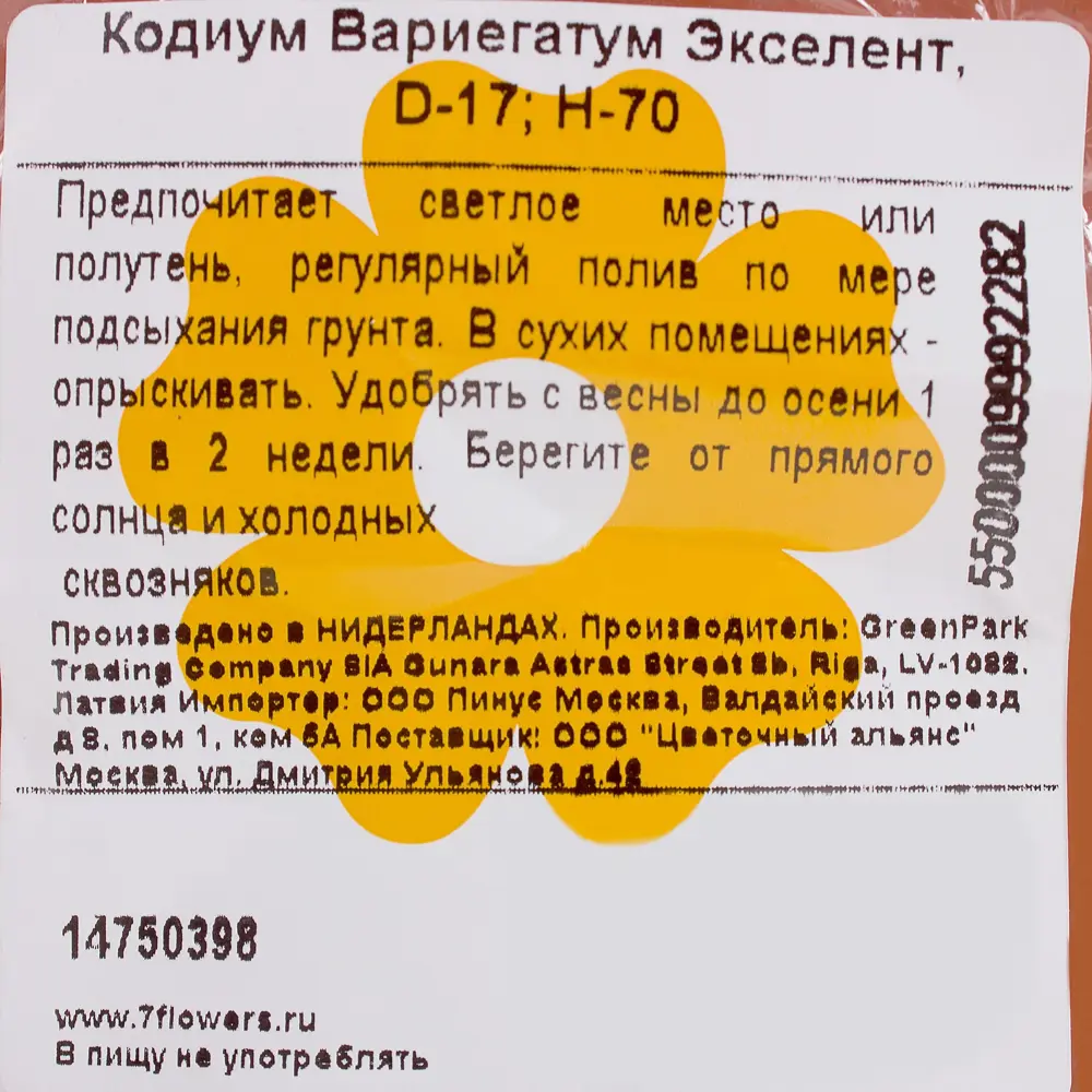 Кодиум Вариегатум экселент 17x70 см 14750398 STLM-2178684 Santreyd  - Вид №2
