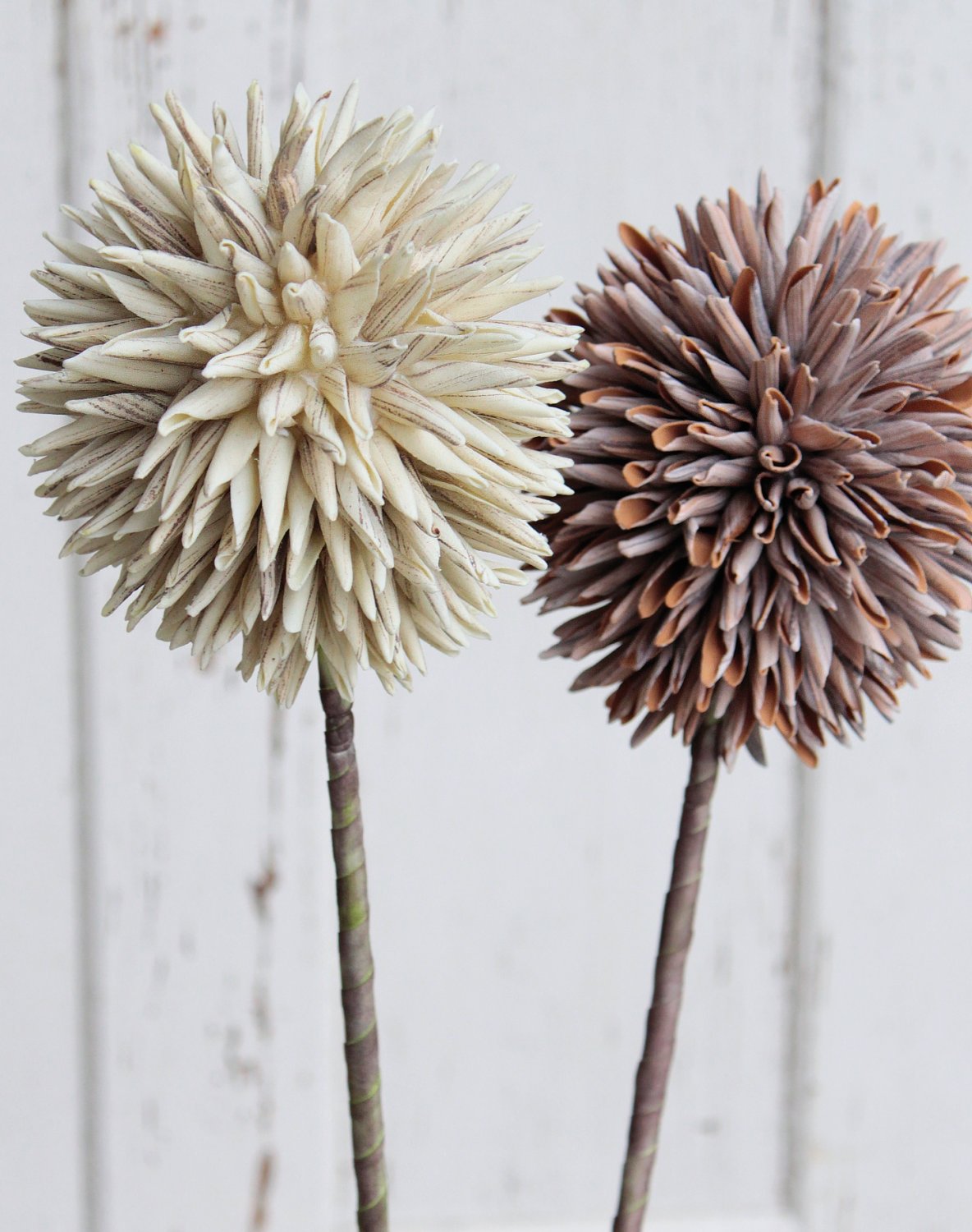 7890 976 a3 Искусственный мягкий цветок 'allium', 80 см, серый H-andreas  - Вид №1