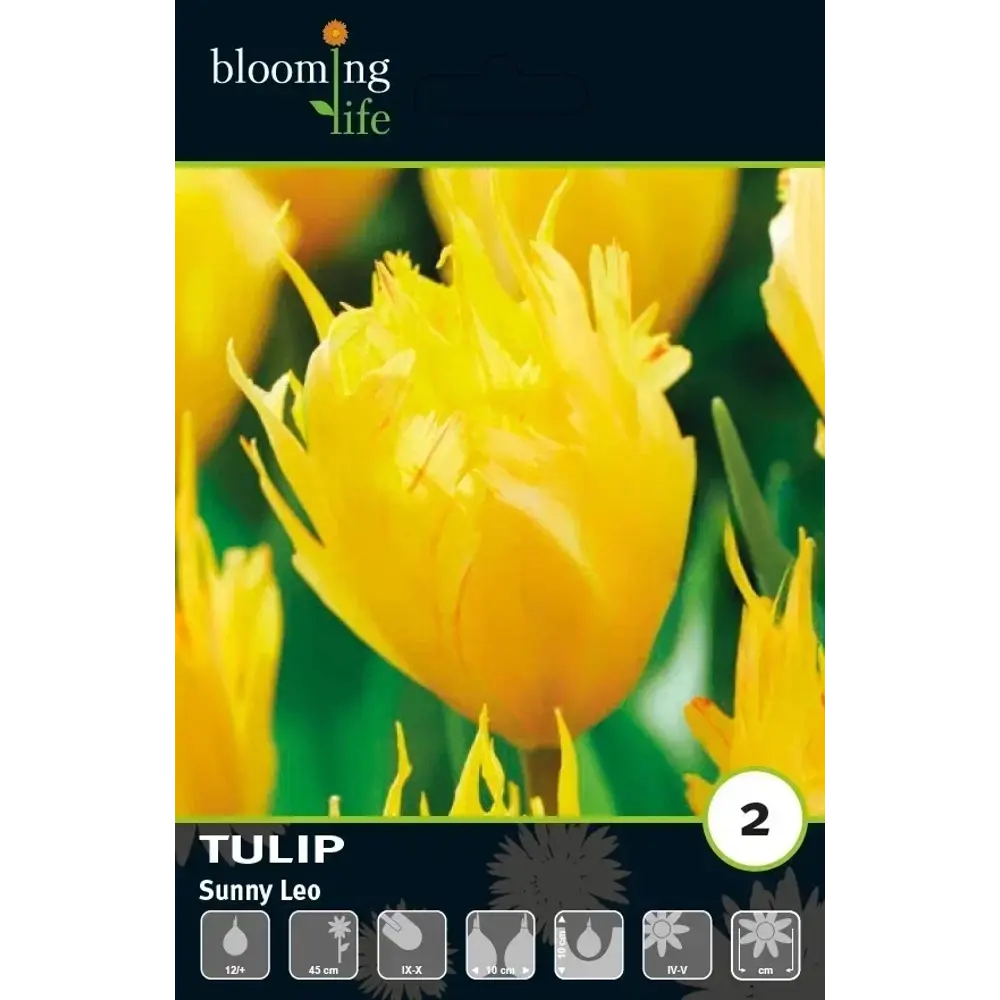 Луковицы тюльпана Дарвинов гибрид Санни Лео 12 шт 89433014 Santreyd STLM-1579747